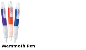 &mvt:product:name;