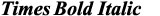 Times Bold Italic
