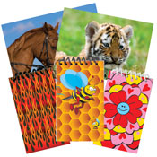 Note Pads