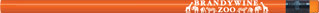 Neon Orange