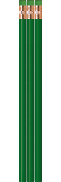 Green Recycled Newspaper Pencils - Blank