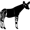 1080-Okapi