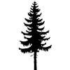 1180-Tree-02