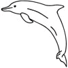 222_DOLPHIN1