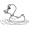 240_DUCK2