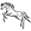 321_HORSE10