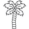 417_Palm_Tree