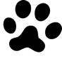 045_paw2