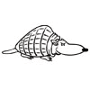 081_ARMADILLO