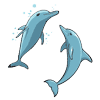 FC-194-Dolphin-03