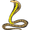 FC217-Snake