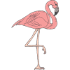 FC224-Flamingo